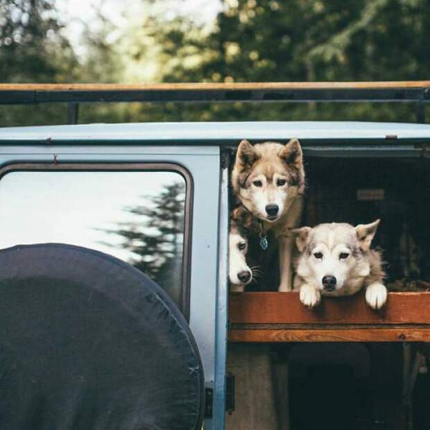 Фото любителей путешествий из соцсетей (50 фото)