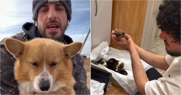 Астраханский фермер из Дагестана делится жизнью на ферме