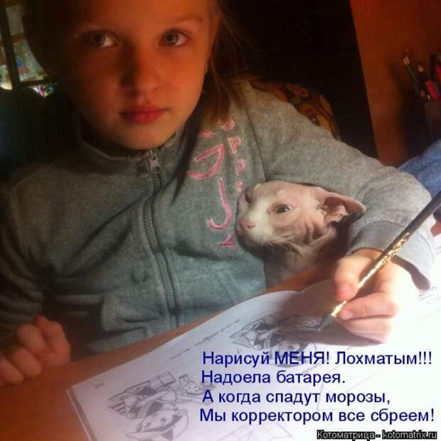 Лучшие котоматрицы недели Лучшие котоматрицы недели