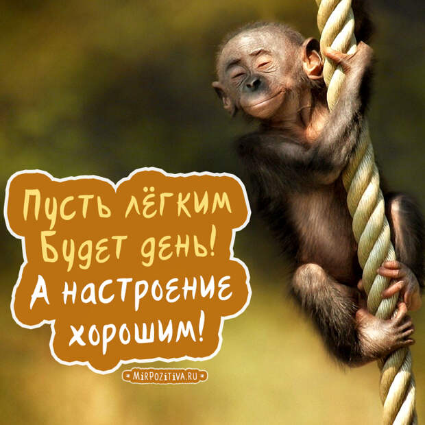 Хорошего всем настроения!