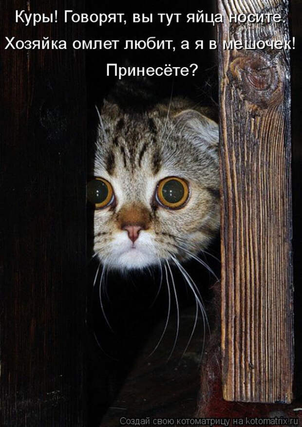 kotomatritsa_GA (494x700, 307Kb)