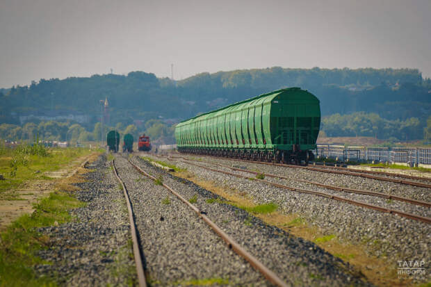 Татарстан за год планирует экспортировать продукцию АПК на 482 млн долларов
