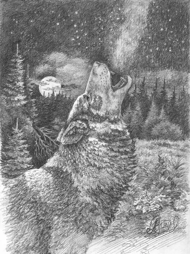 бедный волк салтыков щедрин иллюстрации. салтыков-щедрин сказка бедный волк. сказка бедный волк салтыкова щедрина. сказка бедный волк салтыкова. бедный волк салтыков щедрин иллюстрации.