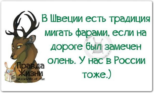 5672049_original_20_ (604x367, 154Kb)