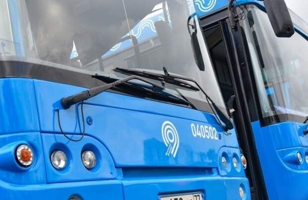 автобусы.jpg