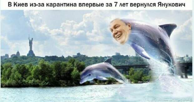 53 отчаянных мема про пандемию коронавируса и карантин