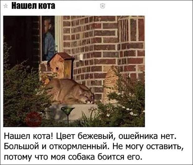Смешные комментарии из социальных сетей прикол, юмор