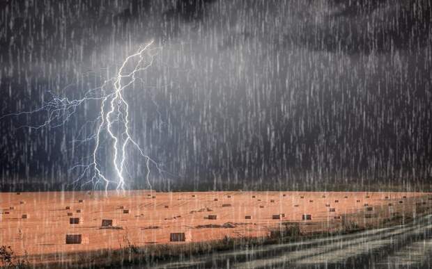 Рязанцев предупредили о дожде и грозе 14 июня