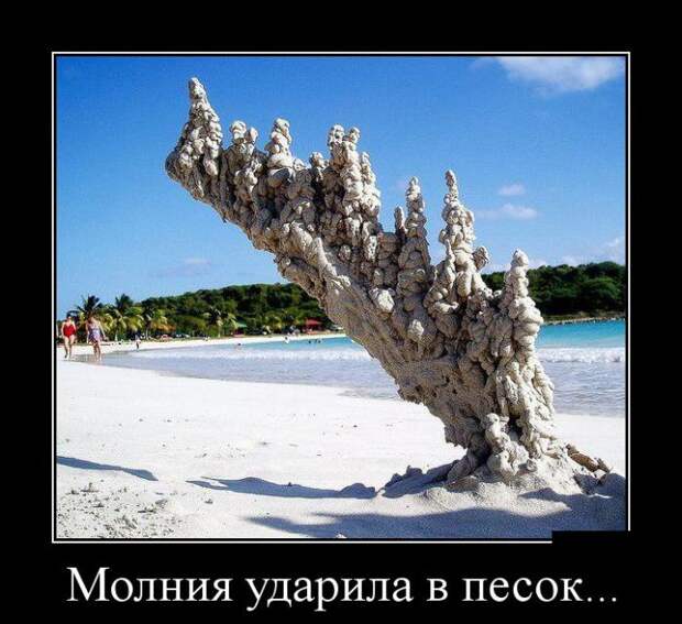 Демотиваторы бревно, демотиваторы, юмор