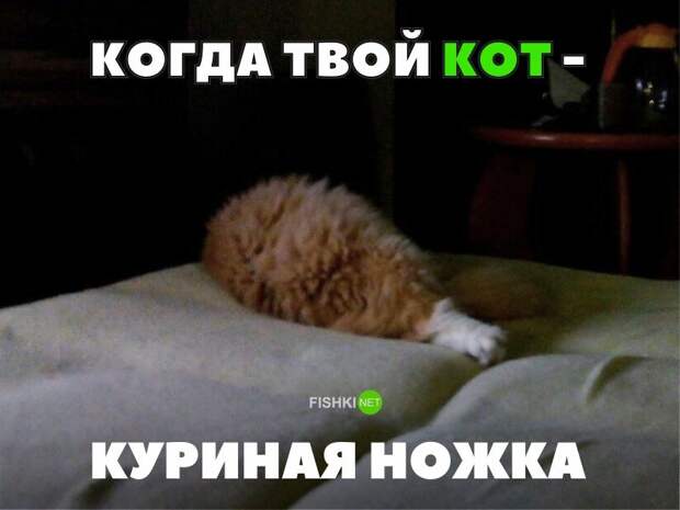 30 позитивных картинок, которые скрасят ваш  день картинки, прикол, юмор