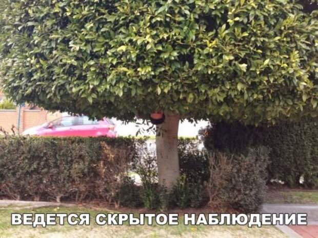 Новые фотомемы с приколами (26 шт)