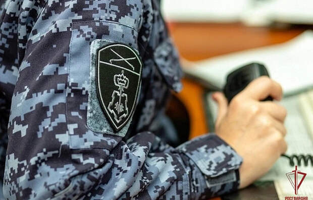 Росгвардия Тульской области предотвратила десятки нарушений закона за прошедшую неделю