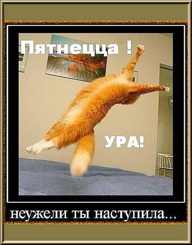 ПЯТНЕЦЦА!..  УРА!..  НЕУЖЕЛИ  ТЫ  НАСТУПИЛА...