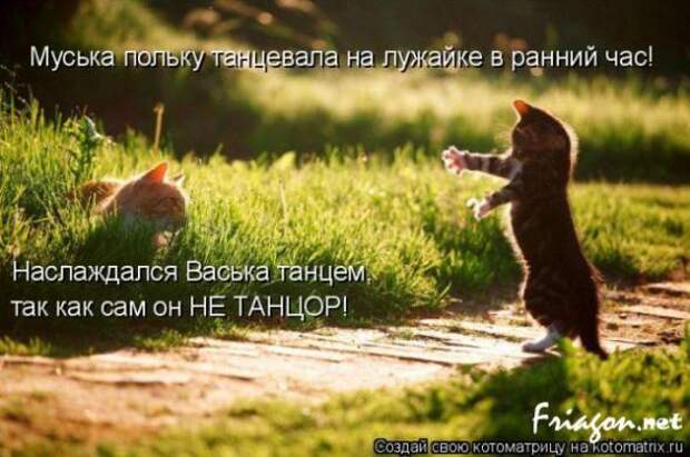 Котоматрица про Любовь