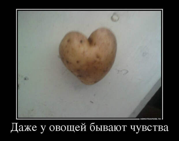 Демотиваторы и мотиваторы. Демотиваторы и веселые картинки_23-03-2013 Демотиваторы и мотиваторы. Демотиваторы и веселые картинки_23-03-2013