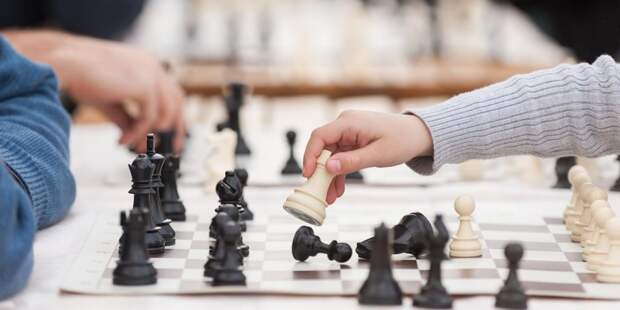 На ВДНХ отметят Международный день шахмат. Фото: mos.ru