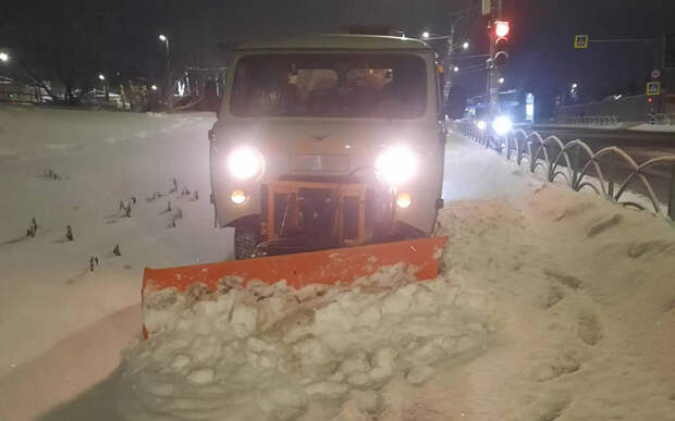 В Рязани за ночь вывезли 750 кубометров снега