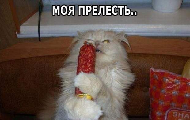 Минутка юмора (ч.7) B28jrTG7AJ0 Минутка юмора