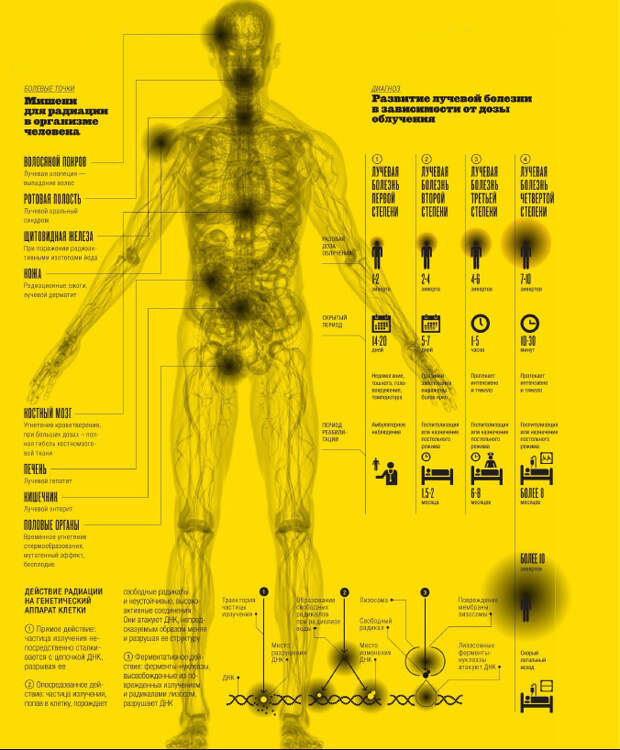 Излечение от излучения: как радиация влияет на человеческий организм