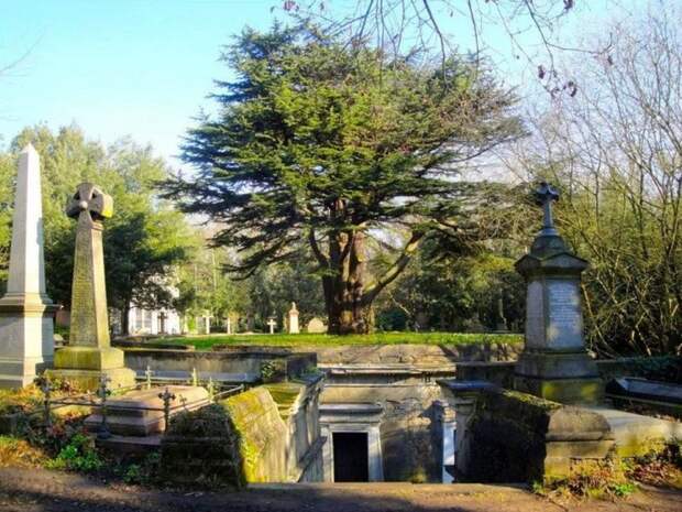 Кладбище Хайгейт в Лондоне: огромное эстетическое удовольствие
