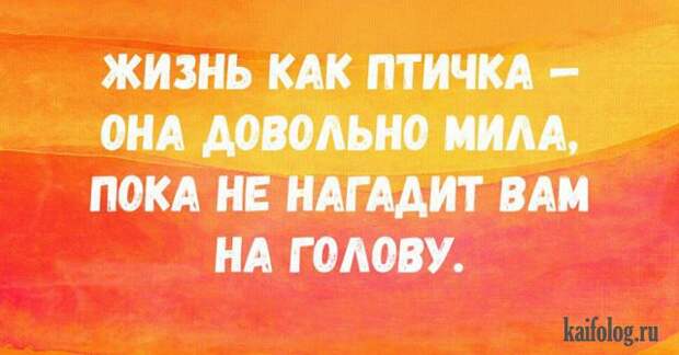 Открытки недели (45 картинок)