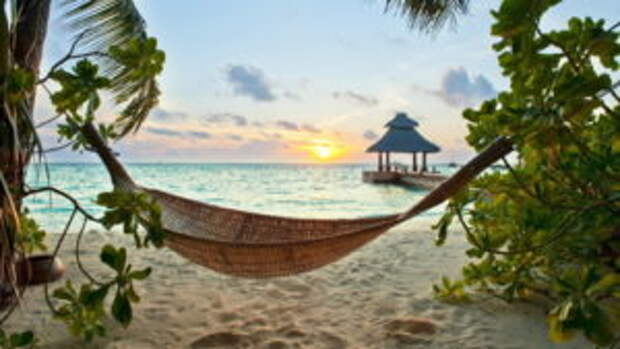 tropics-beach-sand-hammock-holiday-palm