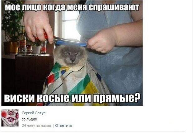 Весёлые комментарии из социальных сетей