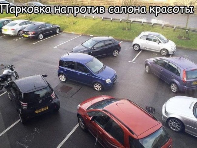 Порция свежих позитивных фоток