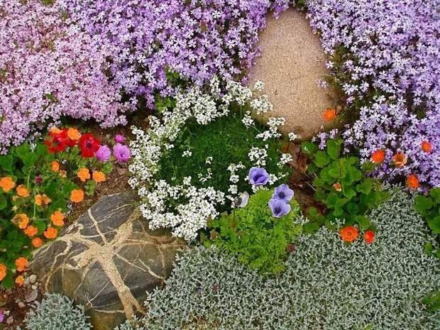 Прекрасные почвопокровные растения для особой атмосферы в саду