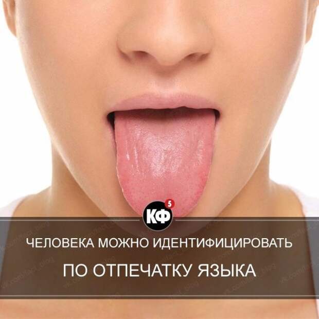 Краткие факты