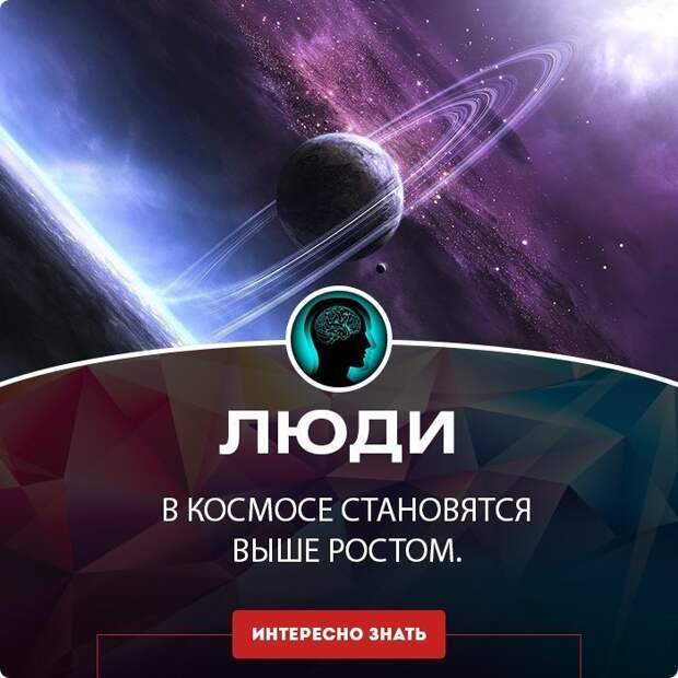 Обманывать нехорошо, но в интернете это норма