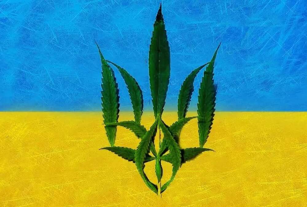 Украина марихуана марихуана ракета