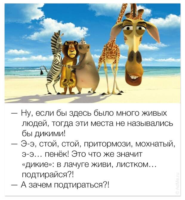 смешные цитаты из мультфильмов, фразы мультфильмы