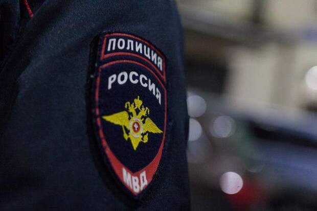 Миграция. Фото: Пресс-служба УВД по САО