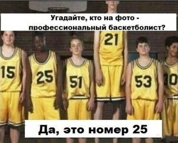 Самые прикольные картинки