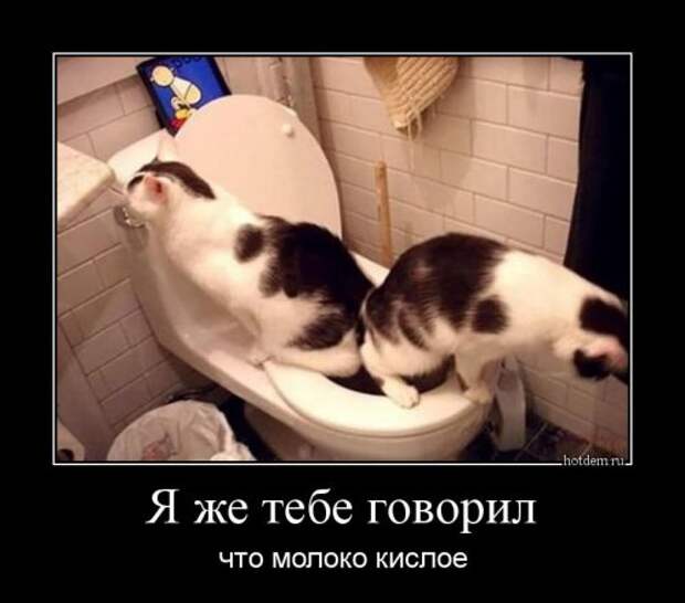 Прикольные демотиваторы на Бугаге (13 шт)