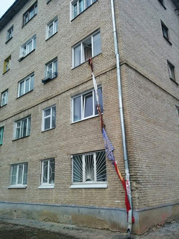 Утром рано увидел такую картину..