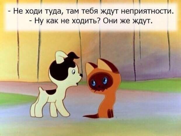 Веселые картинки, которые поднимут вам настроение! Веселые картинки, которые поднимут вам настроение!