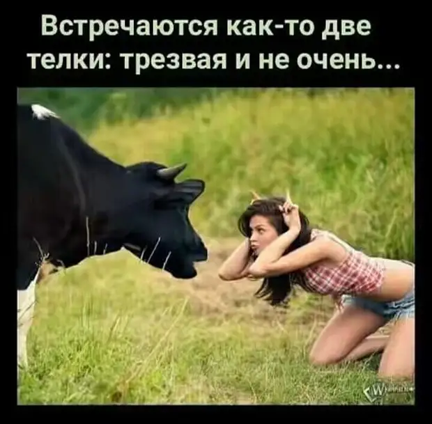 Девушка должна быть всегда готова к любому повороту судьбы, поэтому в сумочке всегда должны быть... загранпаспорт, купальник и... фата... Девушка должна быть всегда готова к любому повороту судьбы, поэтому в сумочке всегда должны быть... загранпаспорт, купальник и... фата... продать, спрашивает, равно, туалет, головой, девушку, Зимний, купюру, видят, тренер, Судья, вообще, показывает, Тьфутьфу, шпагат, будет, красивую, очередь, тогда, потом