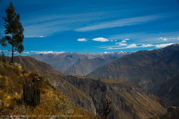 colca17 Спускаемся в глубочайший каньон на Земле