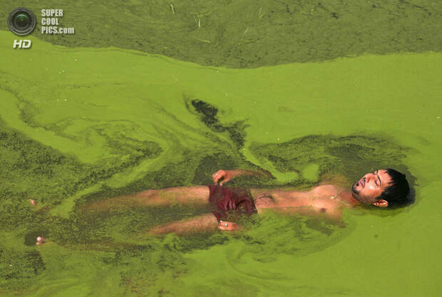 Индия. Джамму. Мужчина прохлаждается в пруду. (REUTERS/Mukesh Gupta)