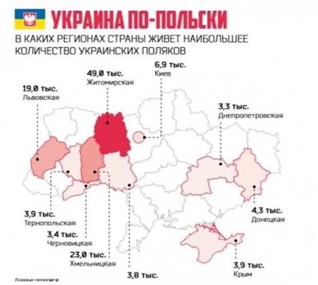 Численность населения польши. Поляки на Украине. Польское население Украины. Где проживают поляки. Украина карта население поляки.