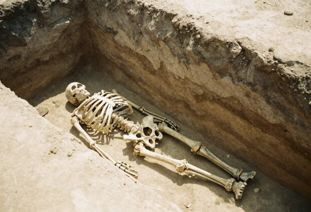 Студенты нашли расчленённые останки и скелет гиганта в парке под Кембриджем