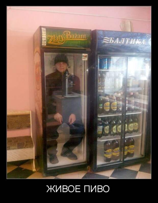 Отличные демотиваторы