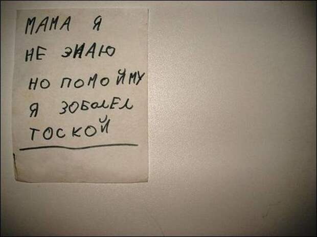 Смешные объявления и надписи