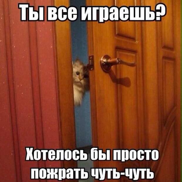 Прикольные картинки. Вечерний выпуск (50 фото)