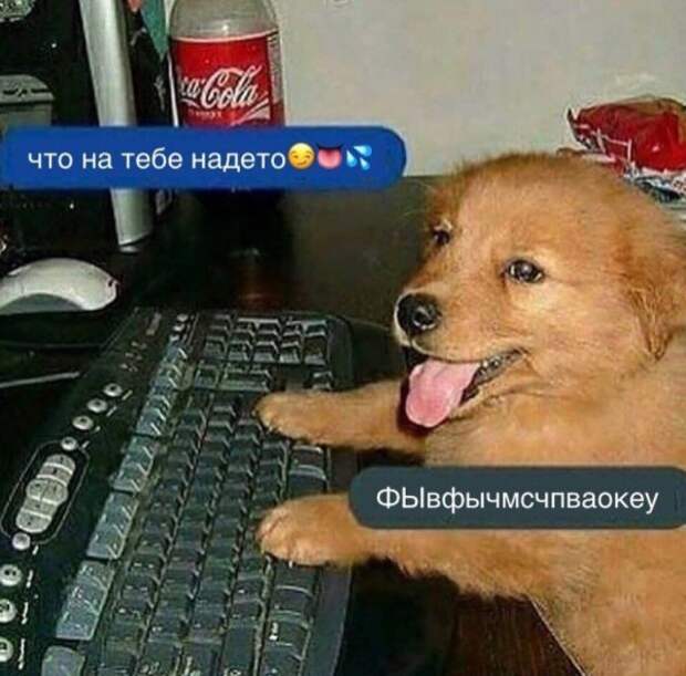 Нестандартный юмор :)