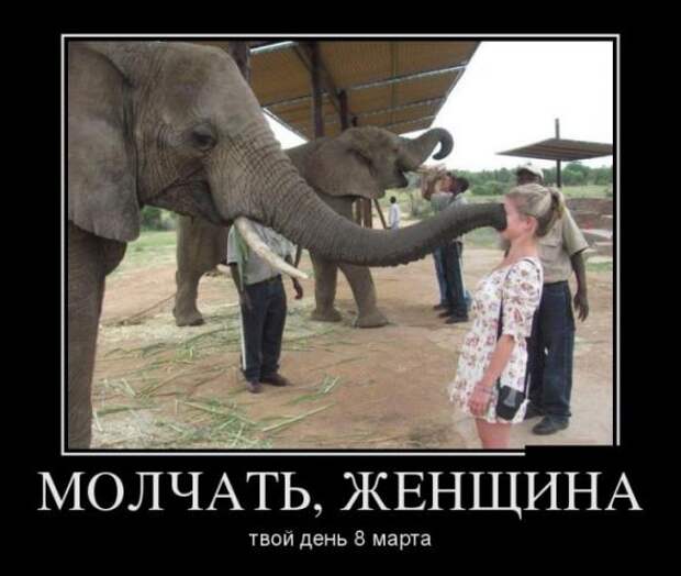Немного новых демотиваторов