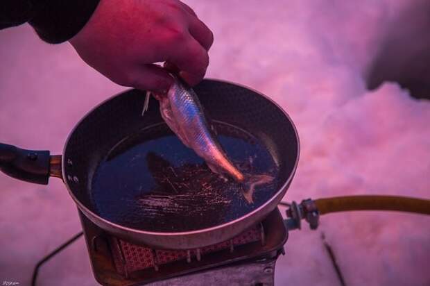 Зимняя рыбалка 2017А зима, лёд, рыба, рыбалка