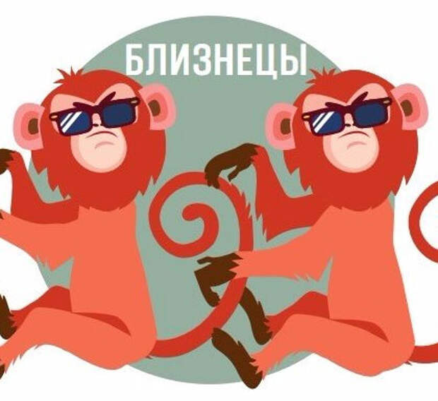 Близнец и обезьяна совместимость. Близнец и обезьяна совместимость
